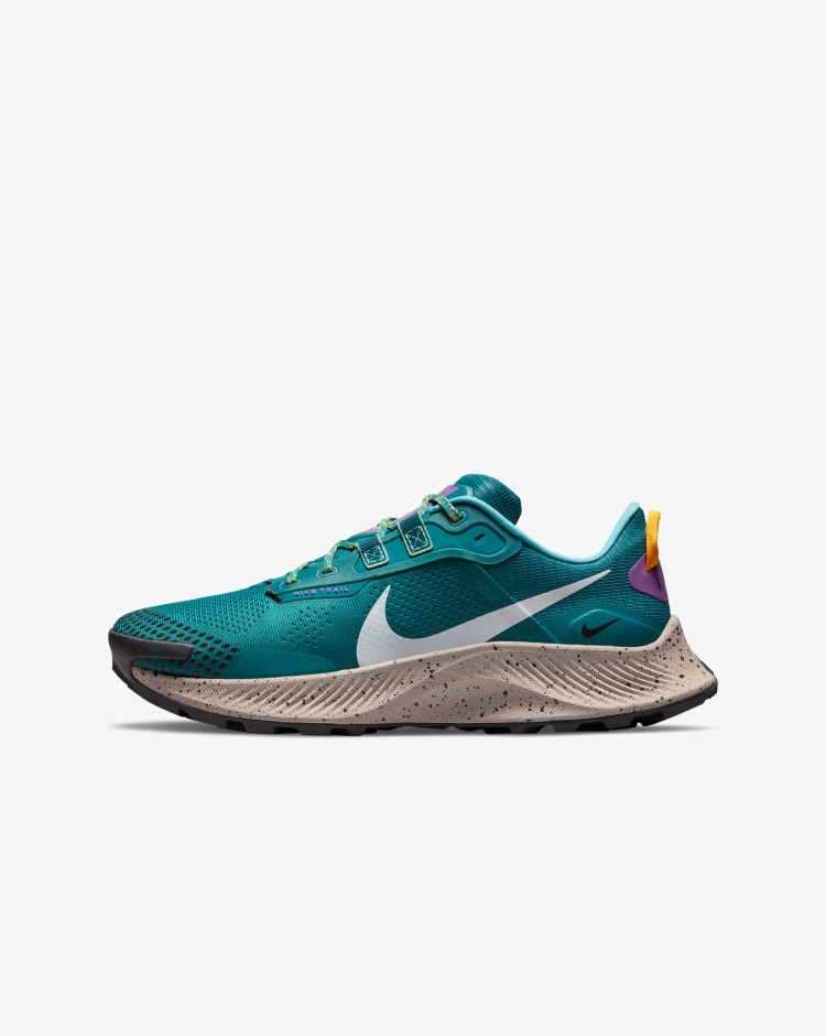 Nike Pegasus Trail 3 Uomo