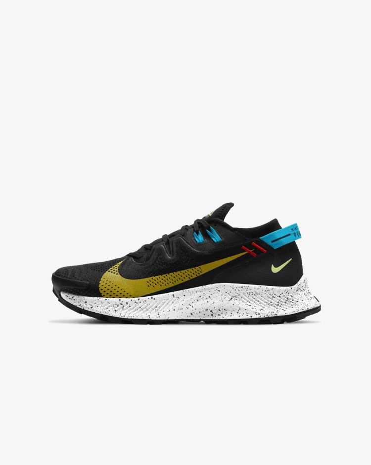 Nike Pegasus Trail 2 Uomo