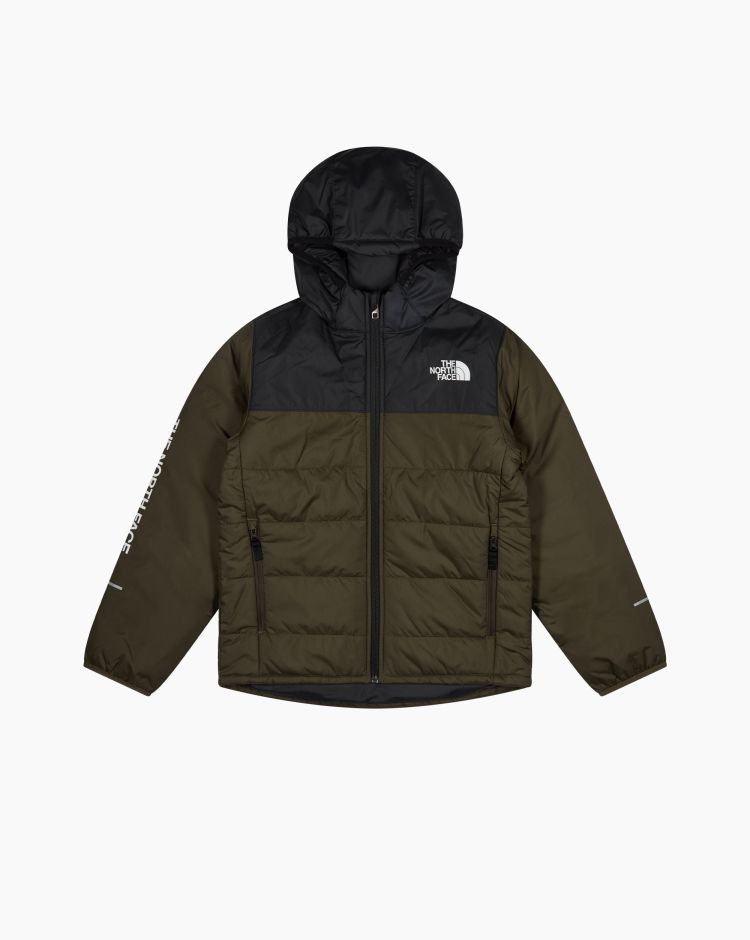 The North Face Never Stop Synthetic Jacket Verde Bambino