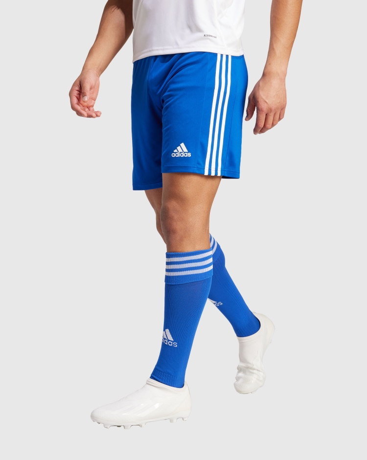 Adidas Pantaloncino Squad 21 Team Royal Blu Uomo