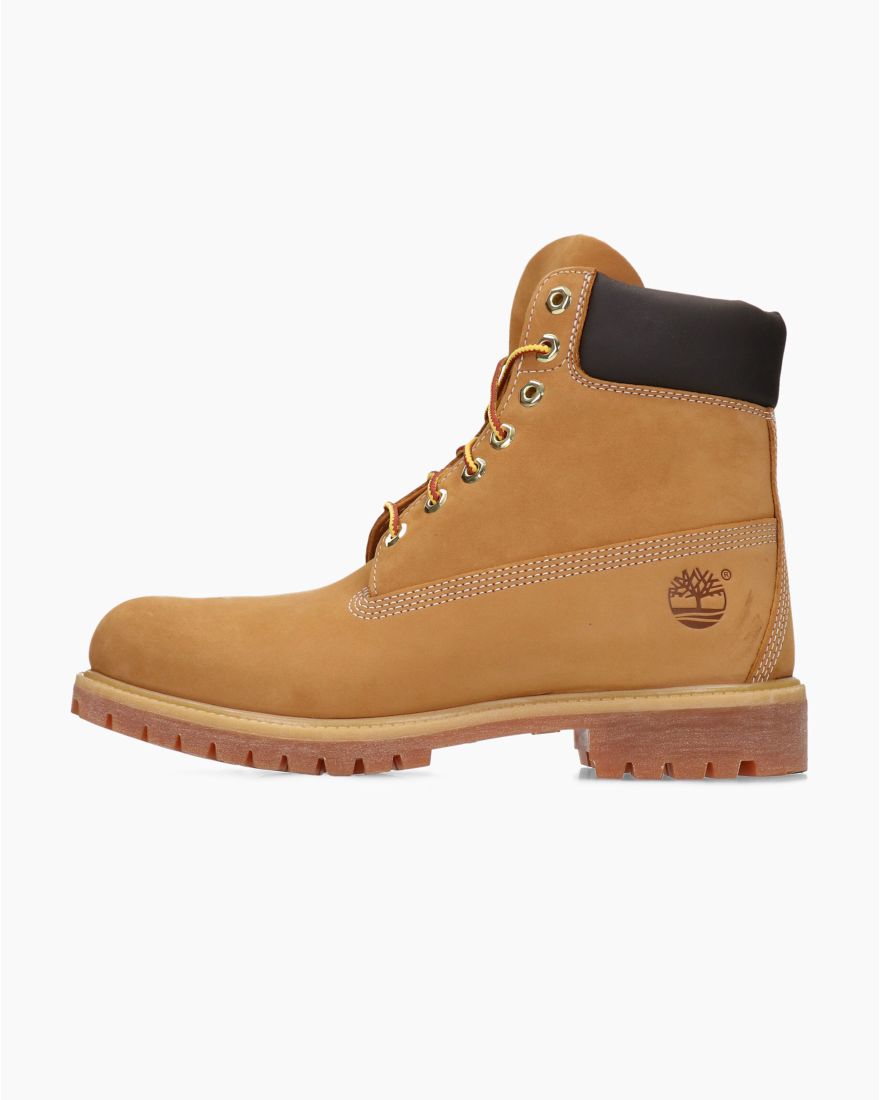 Timberland 6\
