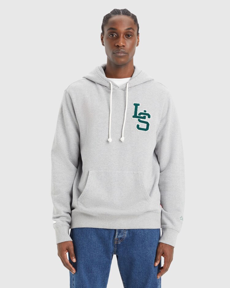 Felpa Con Cappuccio Standard Graphic Grigio Uomo